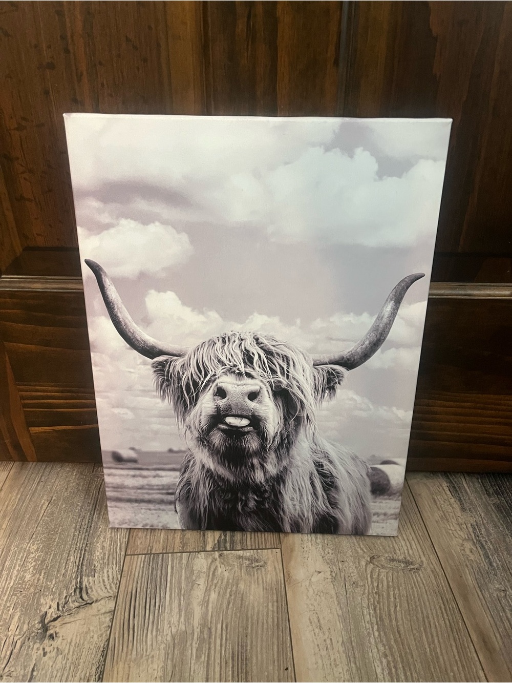 Black & White Highland Cow Canvas Wall Art